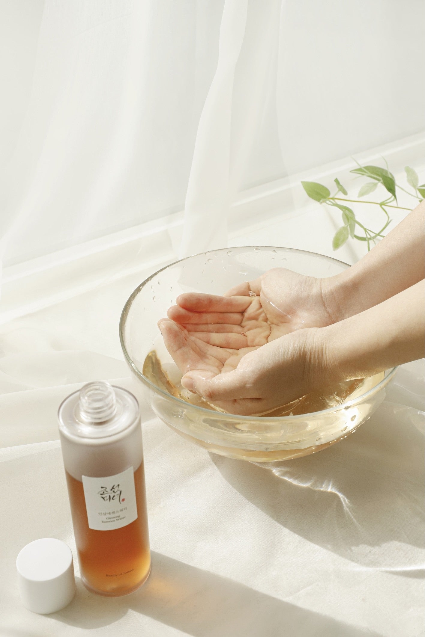 Beauty of Joseon - Ginseng Essence Water Miin Trade